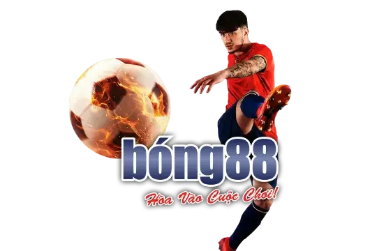 Đội ngũ hỗ trợ nk88